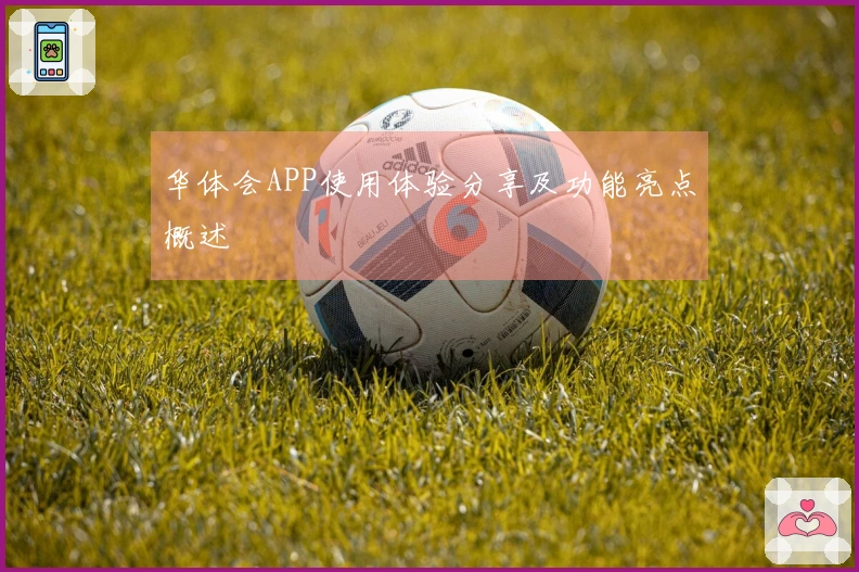 华体会APP使用体验分享及功能亮点概述