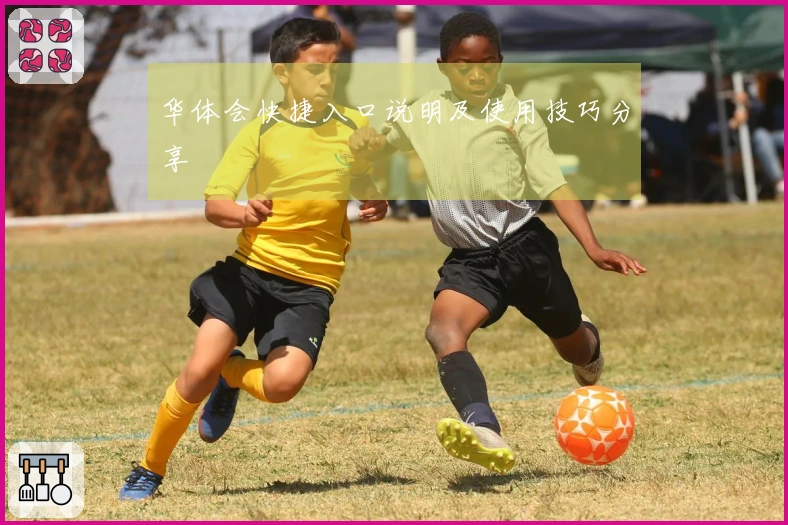 华体会快捷入口说明及使用技巧分享