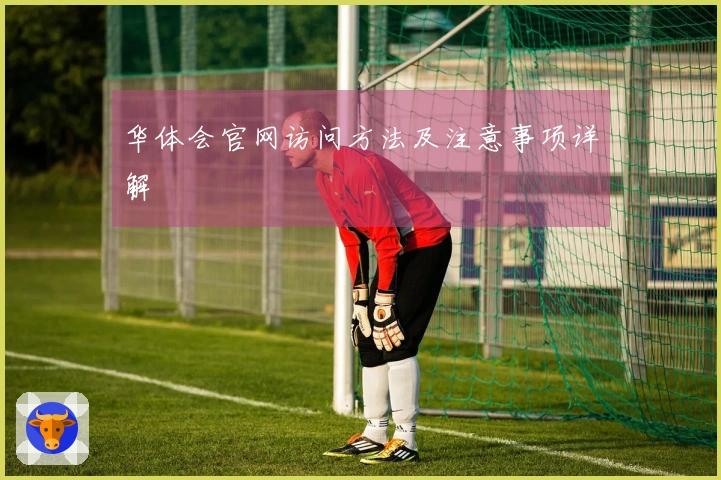 华体会官网访问方法及注意事项详解